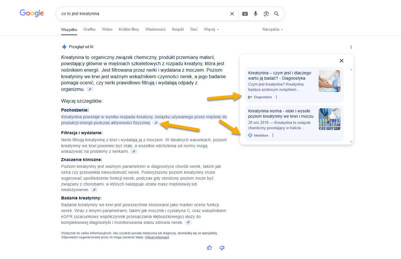Jak wygląda wynik Google Ai Overview